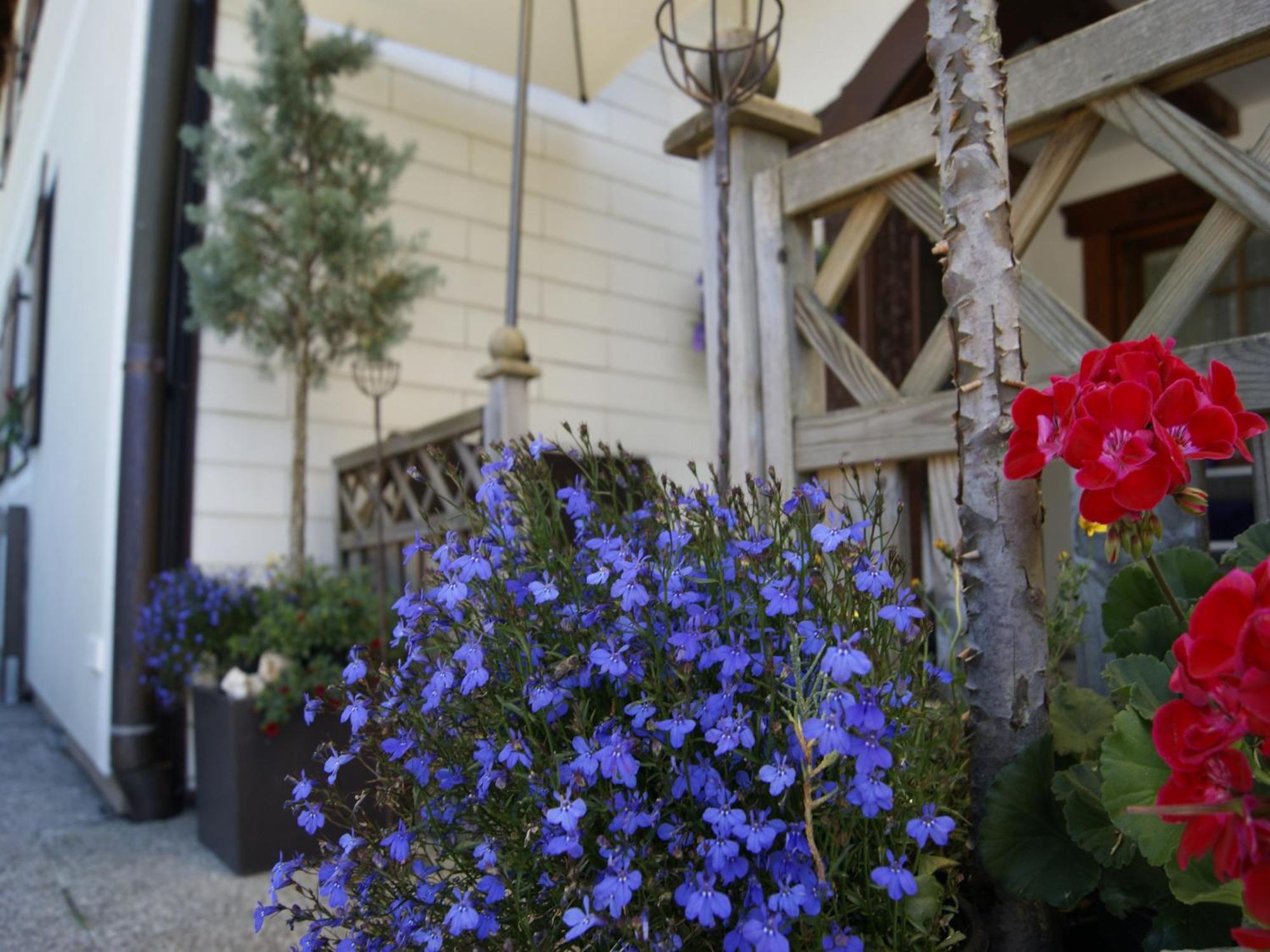 Abis Ferienwohnung Salzkammergut ストローブル エクステリア 写真
